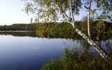 Чем Подмосковье лучше Москвы?